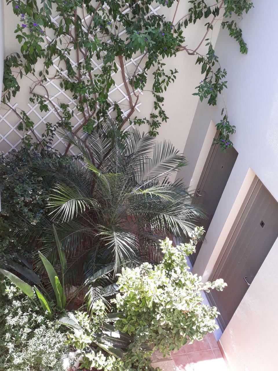 Vilana Studios Kalamos  Exteriér fotografie
