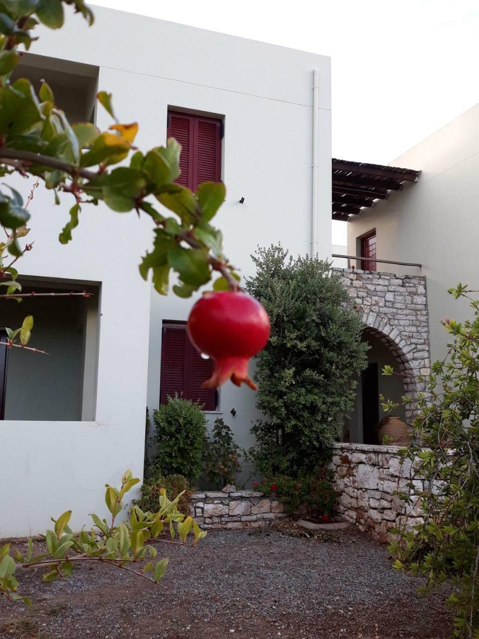 Vilana Studios Kalamos  Exteriér fotografie